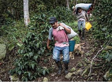Endast fyra procent av de arbetande i Colombia är fackligt anslutna. Rädsla och hot avskräcker liksom att de som inte har fast anställning förhindras att organisera sig.