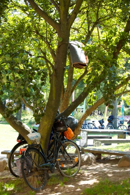 Många kommer på cykel till Folkets Park.