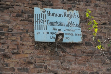 Människorättskommissionen i Pakistan arbetar mot lagen om blasfemi.