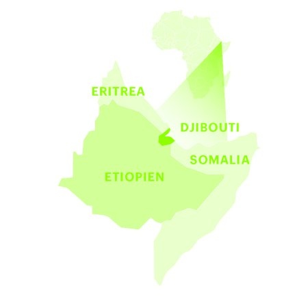 Djibouti har en stabil ekonomi och ett strategiskt läge.