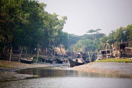 Hotad näring. Omkring två miljoner bangladeshier försörjer sig på fiske kring kusten. Många stannar i flodmynningarna istället för att ge sig ut till havs, dit de större stimmen sökt sig, på grund av risken för oväder.