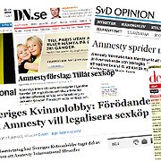 Hård kritik mot Amnesty.