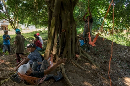 Strejkande arbetare vid bananplantagen Sixaola vid Costa Ricas kust.