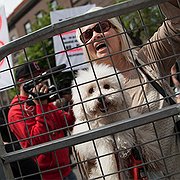 Tålmodigt stod denna kvinna i timmar utanför avspärrningarna för att protestera mot Pride.