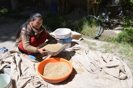 Liksom på många andra platser i landet har kvinnor i regionen Ladakh i norra Indien svårt att få riktiga arbeten samtidigt som utbildningsmöjligheterna är få.