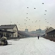 I övergivna lagerlokaler i Serbiens huvudstad Belgrad finns omkring 1 200 migranter och flyktingar. I januari har det varit hård vinterkyla med temperaturer ner mot 20 minusgrader.