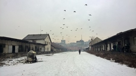 I övergivna lagerlokaler i Serbiens huvudstad Belgrad finns omkring 1 200 migranter och flyktingar. I januari har det varit hård vinterkyla med temperaturer ner mot 20 minusgrader.