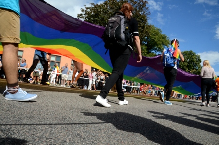 Enligt arrangörerna deltog 50 000 personer i lördagens Prideparad i Stockholm.