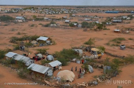 I Kenya placeras flyktingar i läger som Ifo 2-lägret i Dadaab med drygt 23 000 invånare. I september fanns enligt UNHCR nästan 240 000 flyktingar i Dadaab-komplexet som Kenyas regering vill stänga. 95 procent av invånarna kommer från Somalia.