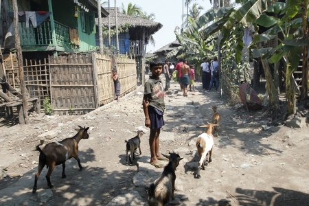 By i Rakhine-staten i mars 2016. Efter ARSA:s attacker i oktober 2016 och augusti 2017 har militärens våldsamma svar tvingat över 600 000 rohingyer på flykt till grannlandet Bangladesh.