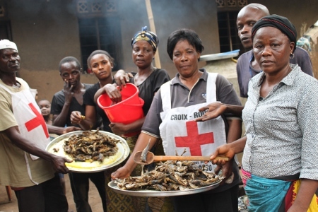  Röda Korsets hjälparbetare delar ut mat till flyktingar i ett läger i Kanzombi i Kongo.