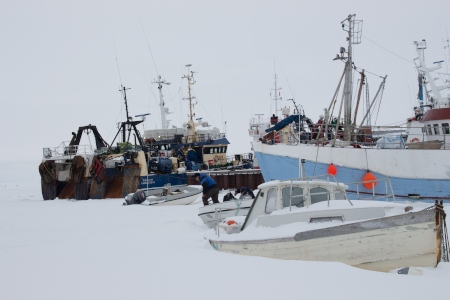 Fastfrysta båtar i Aasiaats hamn.