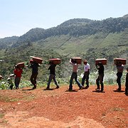  Människor från Queqchí -folket bär år 2012 kvarlevorna av sina anhöriga efter utgrävningar i Cambayal i Guatemala. CAFCA har grävt upp massgravar i Guatemala efter inbördeskriget 1960-1996. Syftet har varit att hjälpa familjer att hitta dödade anhöriga och att ansvariga ska ställas inför rätta. 
