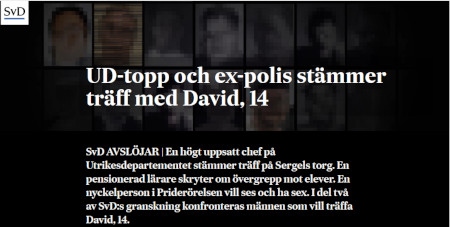 Från Svenska Dagbladets granskning i juni 2019. 