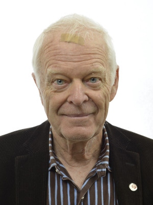 Thomas Hammarberg, socialdemokratisk riksdagsledamot och tidigare ordförande för Kommissionen mot antiziganism. 