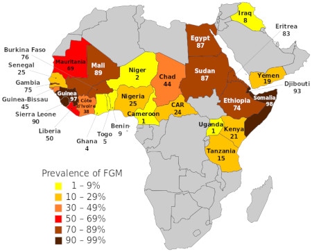  Karta som visar procentandel kvinnor i olika länder som år 2016 beräknades vara könsstympade. 
