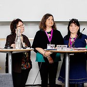 Lena Maria Nilsson, Ellacarin Blind, Christina Mienna, Britt Sparrock och Kristina Sehlin Macneil vid torsdagens seminarium.