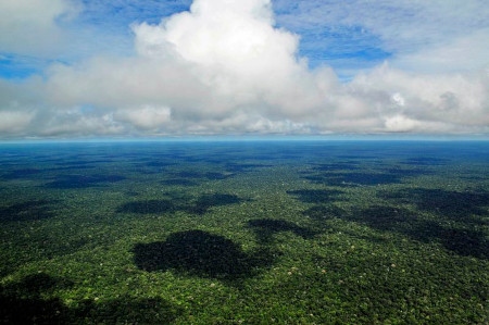 Flygbild över regnskog i Amazonas nära Manaus, huvudstad i delstaten Amazonas. 