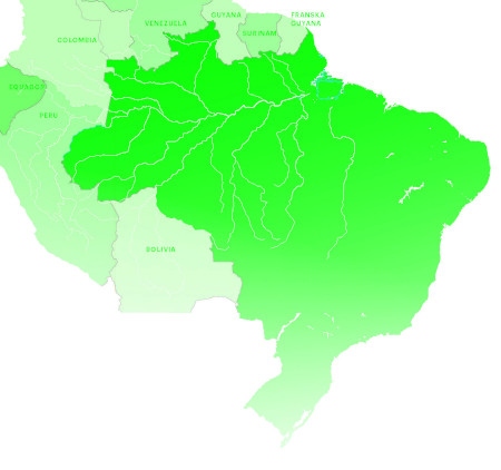 Cirka 13 procent av Brasiliens yta utgörs av mer än 400 urfolksreservat. I brasilianska Amazonas där 98 procent av reservaten ligger finns fler än 450 illegala gruvor.