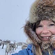 Ann-Helén Laestadius gör research i Sapmi.