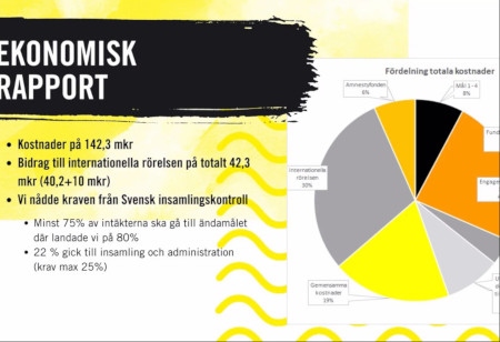 Amnestys ekonomi förra året.