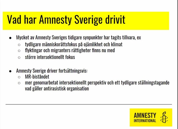 Svenska sektionens synpunkter.