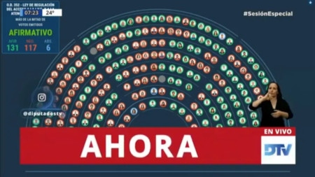 Argentina: Omröstningen i deputeradekammaren den 11 december: 131 röster för, 117 emot abort.