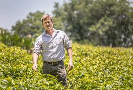 Alexander Cathcart Kay är vit malawier, född och uppväxt på teplantagen Satemwa, som han nu driver. Plantagen grundades 1923 av hans farfar, den skotske immigranten Maclean Kay.