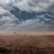 Den av befolkningen så fruktade tio mena, malagassiska för röd vind, som ödelägger alla odlingar i sin väg. Fenomenet har blivit ett vanligare och mer frekvent inslag i vardagen på södra Madagaskar.