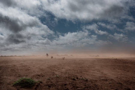 Den av befolkningen så fruktade tio mena, malagassiska för röd vind, som ödelägger alla odlingar i sin väg. Fenomenet har blivit ett vanligare och mer frekvent inslag i vardagen på södra Madagaskar.