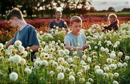 Sommarlov på den belgiska landsbygden.