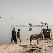 Två pojkar promenerar i en by utanför Dadu. Många skolor har tvingats stänga då de helt enkelt är borta eller så skadade att det inte är säkert för barnen att vara där. Även vägarna som många använder för att ta sig till sina skolor ligger under vatten.